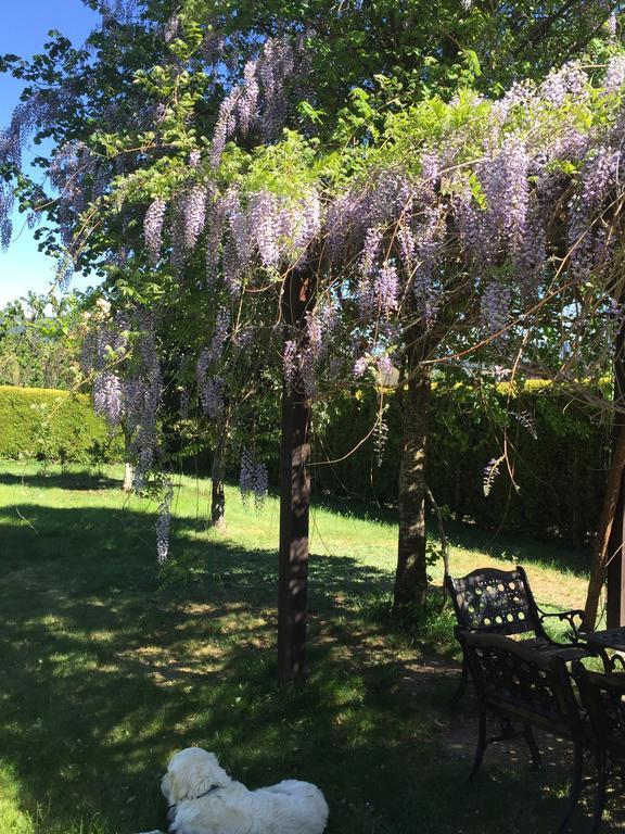 Alojamiento En Entorno Rural Los Trobos Villar de Otero Екстериор снимка